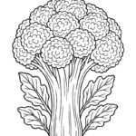 Vegetables