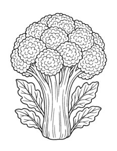 broccoli botanical coloring page