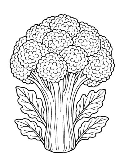 Vegetables