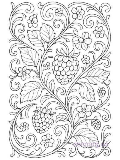 Art Nouveau Raspberry Coloring Page for Adults