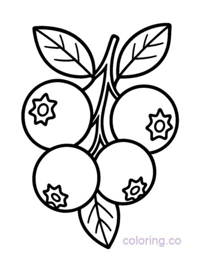 Cute Blueberry Coloring Page for Kids