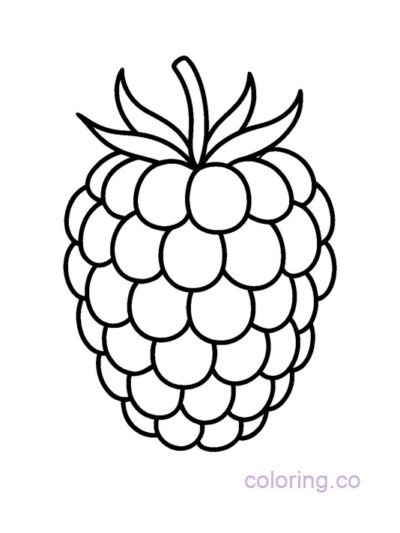 Adorable Raspberry Coloring Page for Preschoolers