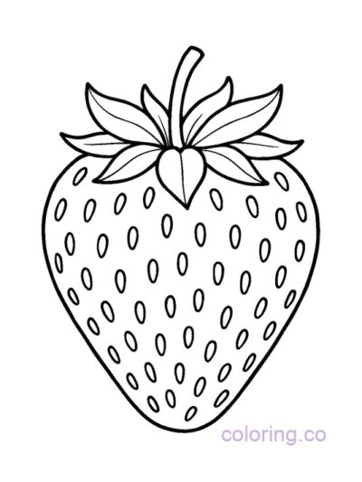 Fruits