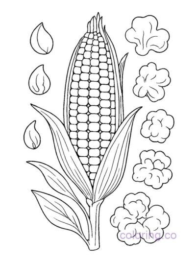 Fun Botanical Popcorn Coloring Page for Kids