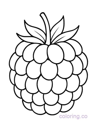Fun Raspberry Coloring Page for Preschool Kids