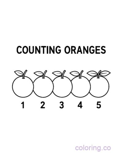 Counting Oranges Preschool Coloring Page