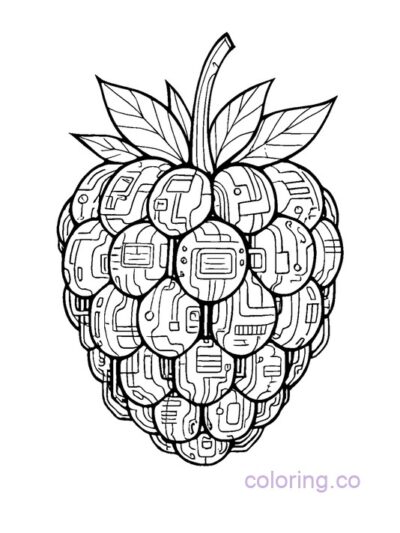 Cyberpunk Raspberry Art Coloring Page for Teens