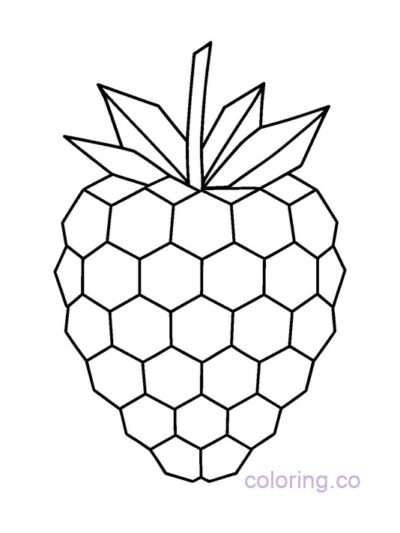 Geometric Raspberry Coloring Page for Adults