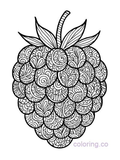Intricate Raspberry Coloring Page for Adults