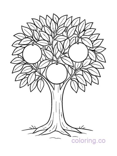 Orange Tree Coloring Page for Preschool Kids