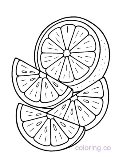 orange slices fruit coloring page