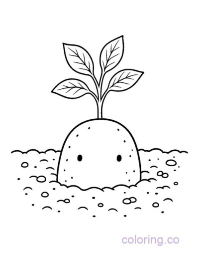 Potato Peekaboo Cute Coloring Page for Kids