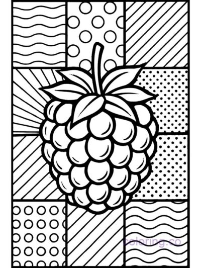 Raspberry Pop Art Coloring Page for Teens