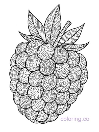 Detailed Raspberry Zentangle Coloring Page