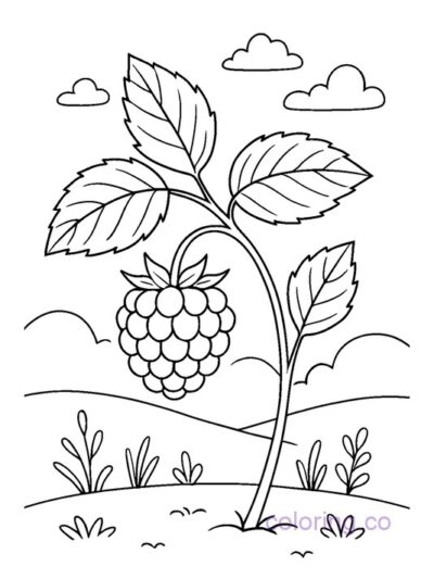 Raspberry Bush Coloring Page for Preschool Kids