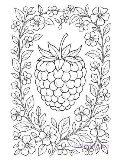 Intricate Raspberry Floral Frame Coloring Page for Adults