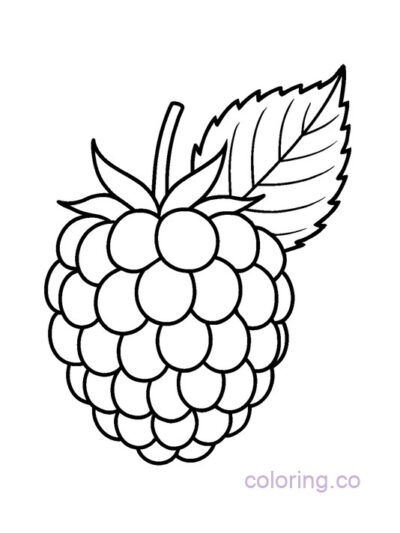 Raspberry with Leaf Coloring Page for Preschoolers