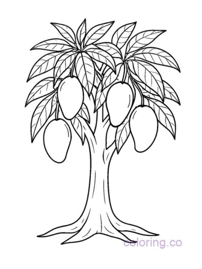 Simple Mango Tree Coloring Page for Preschool Kids