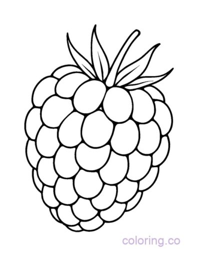Simple Raspberry Coloring Page for Preschool Fun