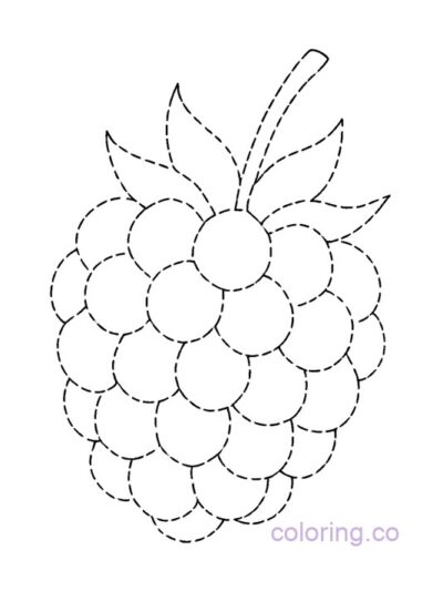 Fun Raspberry Trace and Color Page for Preschool
