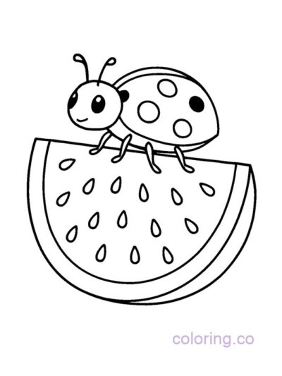 Cute Watermelon and Ladybug Coloring Page for Kids