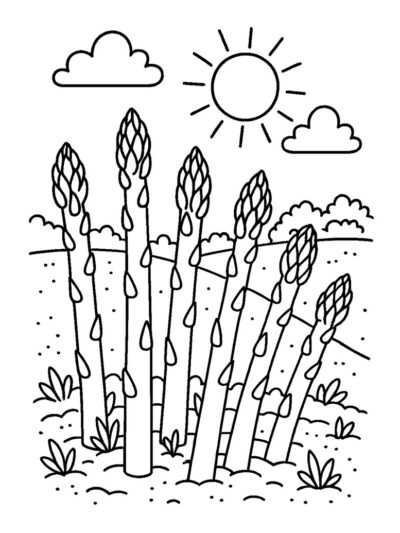 Asparagus in the garden coloring page