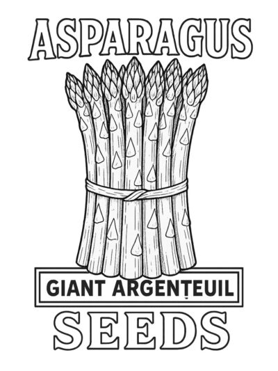 vintage asparagus seed packet coloring page