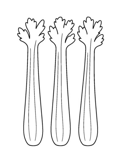 3 celery stalks coloring page for kids