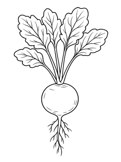 basic radish coloring page, vegetable coloring pages for kids