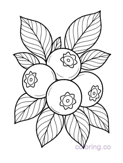 Fun Blueberry Coloring Page for Kids & Teens