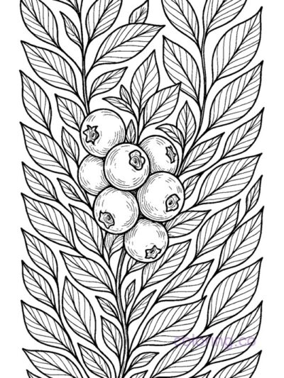 Blueberry Bush Coloring Page with Realistic Shading