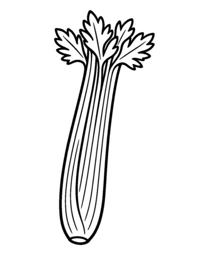 easy celery coloring page for kids