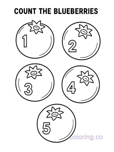 Fun Count and Color Blueberries Activity for Kids