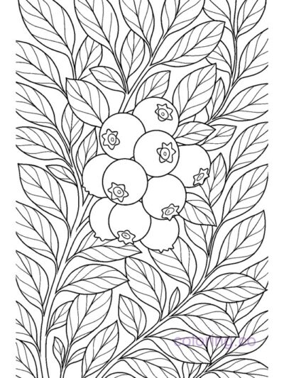 Intricate Blueberries on Bush Coloring Page