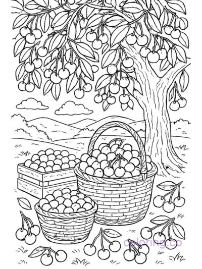 Detailed Cherry Harvest Coloring Page for Kids & Adults