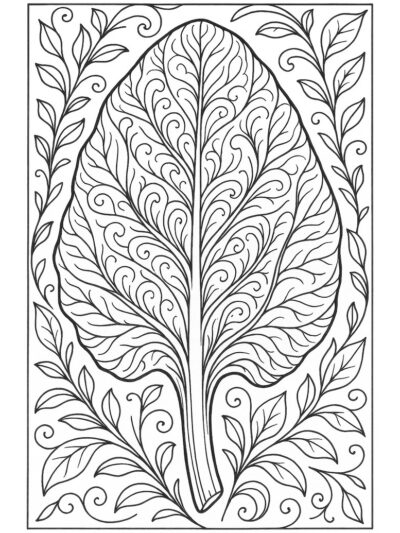 detailed spinach leaf coloring sheet