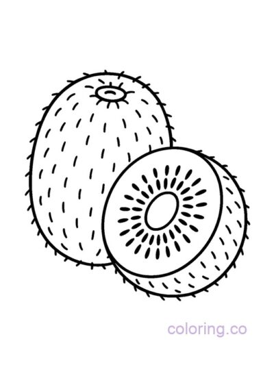 Fuzzy Kiwi Coloring Page with Bold Outlines