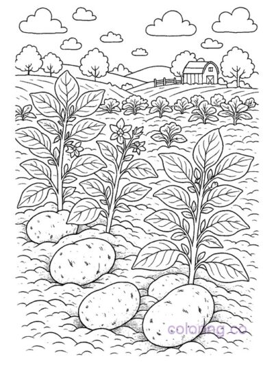 Fun Potato Patch Garden Coloring Page for Kids