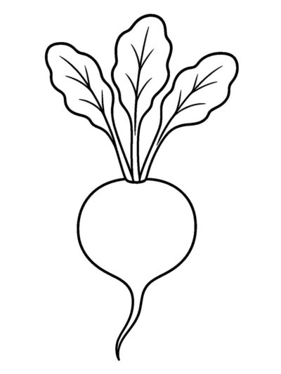 easy radish coloring page for kids