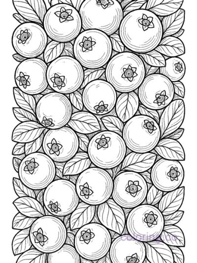 realistic blueberry bush coloring page
