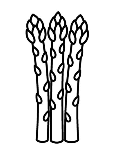 Easy asparagus coloring page, vegetable coloring page for kids, simple coloring pages for kids