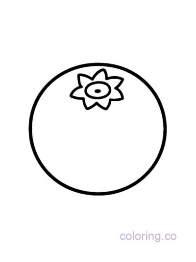 Simple Blueberry Coloring Page for Kids