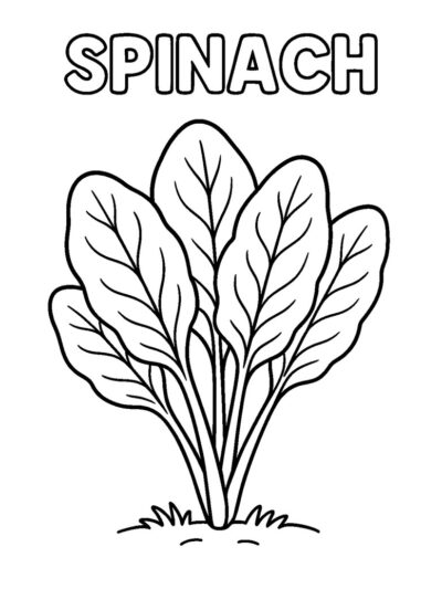 easy spinach veggie coloring page