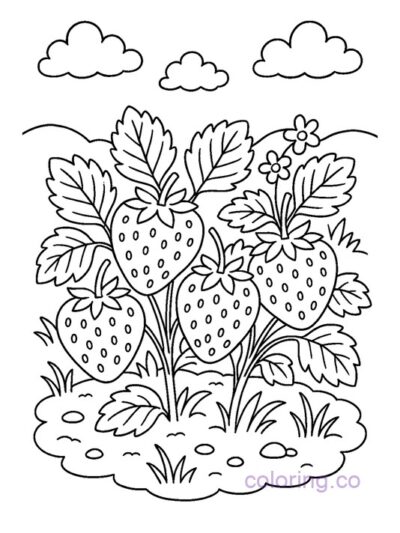 Cute Strawberry Bush Coloring Page for Kids