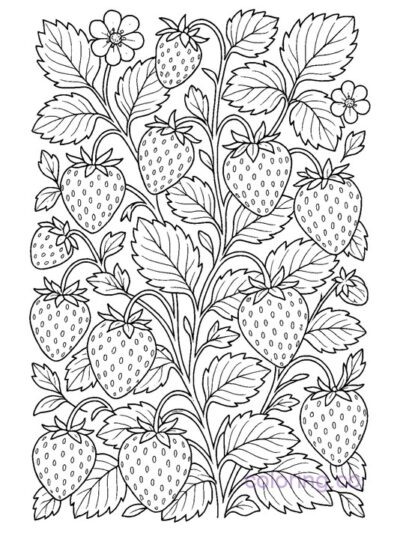 Intricate Strawberry Patch Coloring Page for Teens & Adults