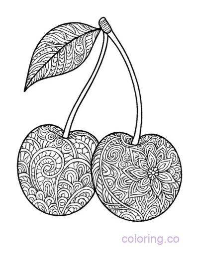 Intricate Zentangle Cherry Coloring Page for Adults