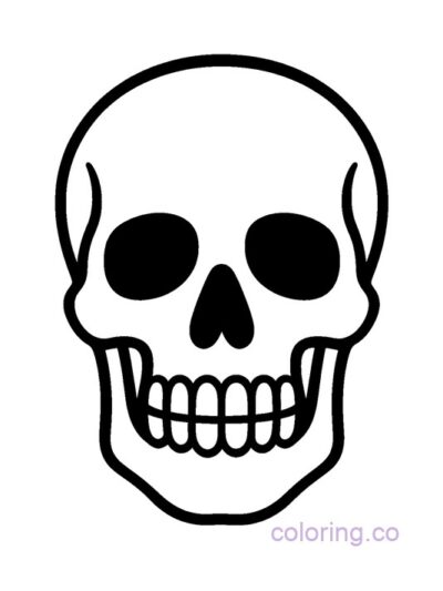 Big Bold Skull Coloring Page for Preschool