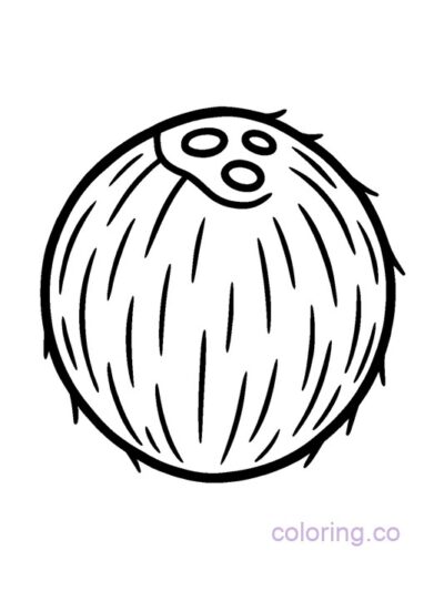 Big Coconut Coloring Page for Preschool Kids