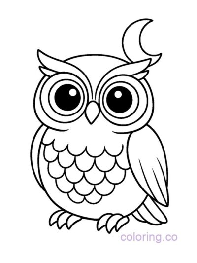 Cute Big Eyed Owl Coloring Page