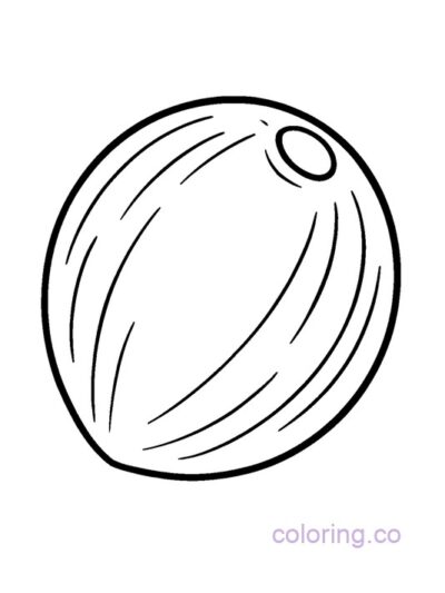 Big Simple Coconut Coloring Page for Preschoolers